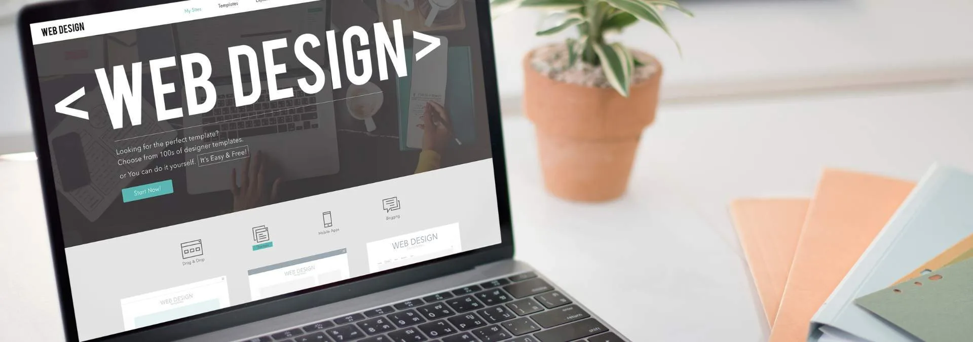 Web Design Agency in Ahmedabad