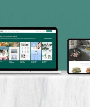 Custom Shopify Website Development Services